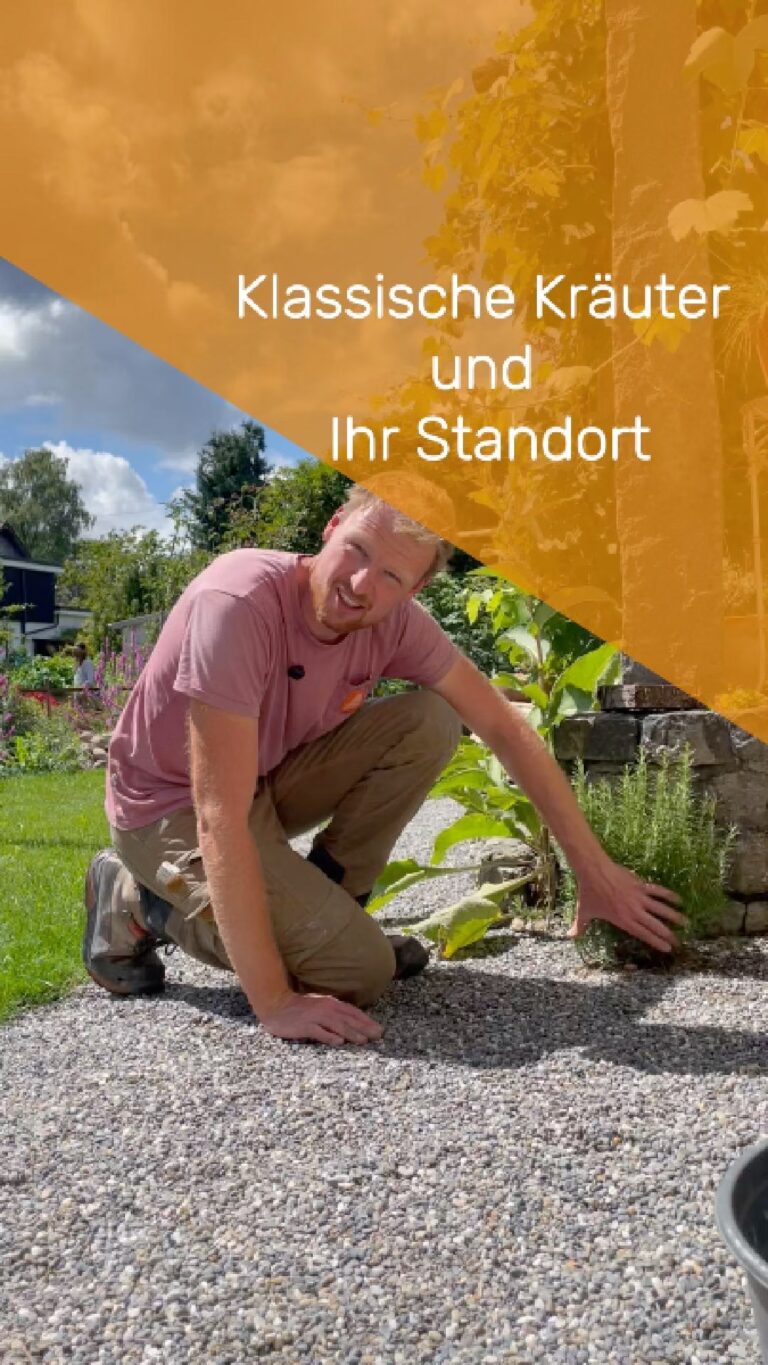 Instagram post from naturraum_ag. This post is in position 6.