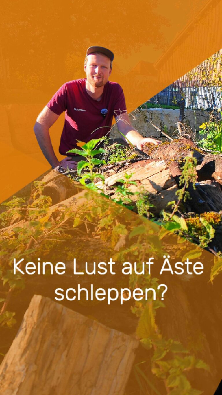 Instagram post from naturraum_ag. This post is in position 2.