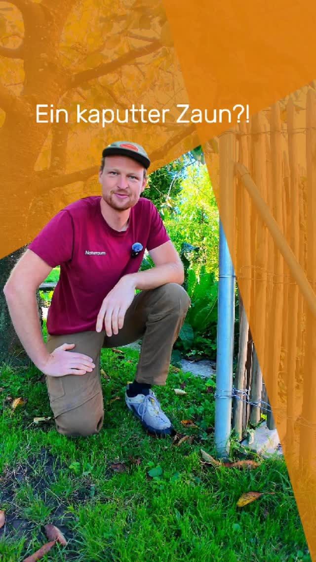 Instagram post from naturraum_ag. This post is in position 3.