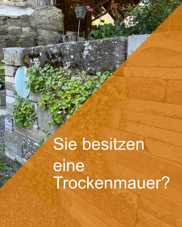 Instagram post from naturraum_ag. This post is in position 4.